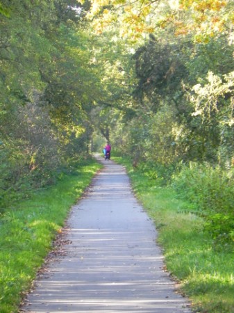 Radweg im Grünen